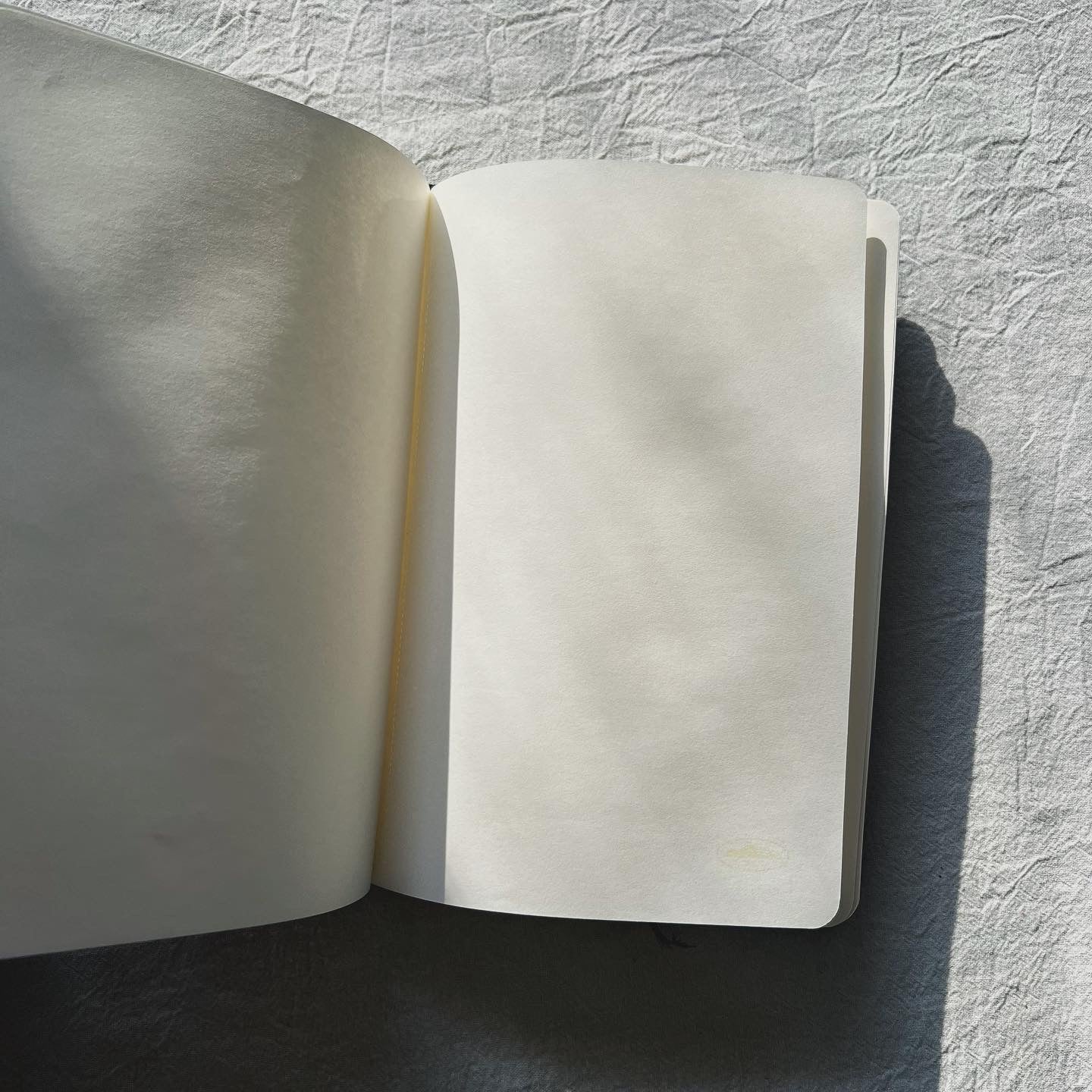 Corteiz Notebook