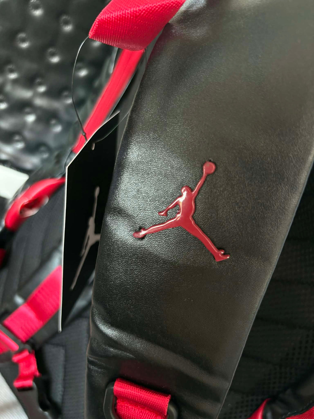 Air Jordan 13 'Breds' Bag