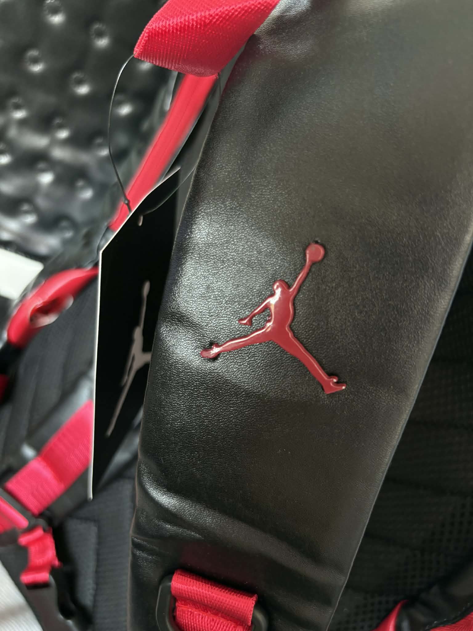 Air Jordan 13 'Breds' Bag