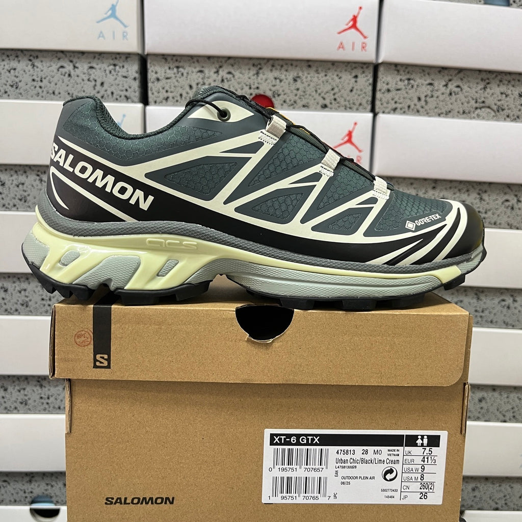 Salomon XT-6 GTX Urban Chic / Black / Lime Cream