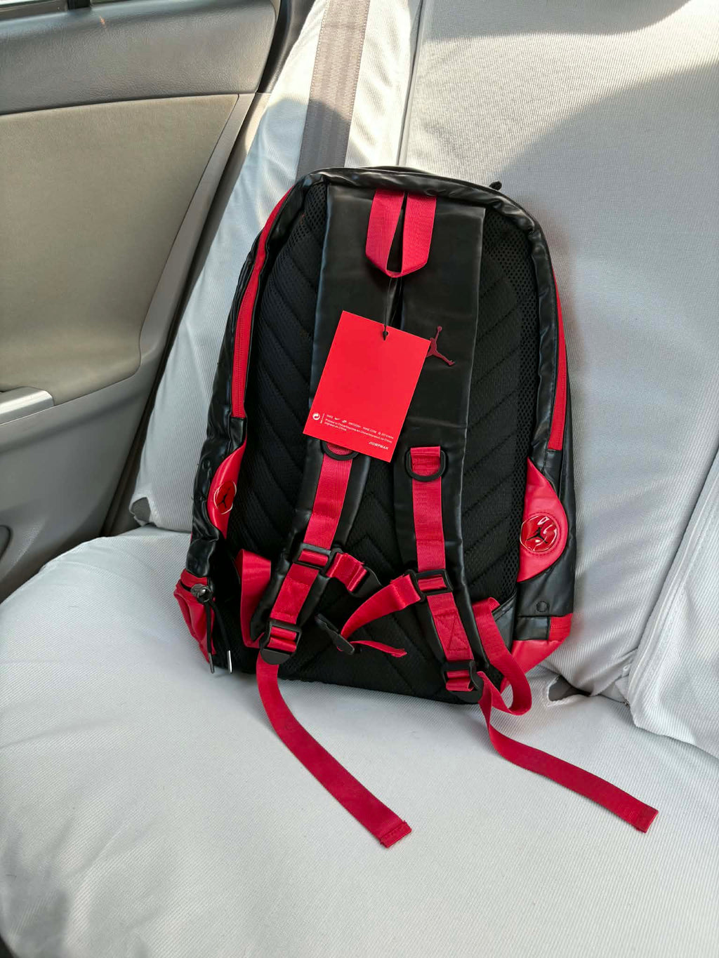 Air Jordan 13 'Breds' Bag