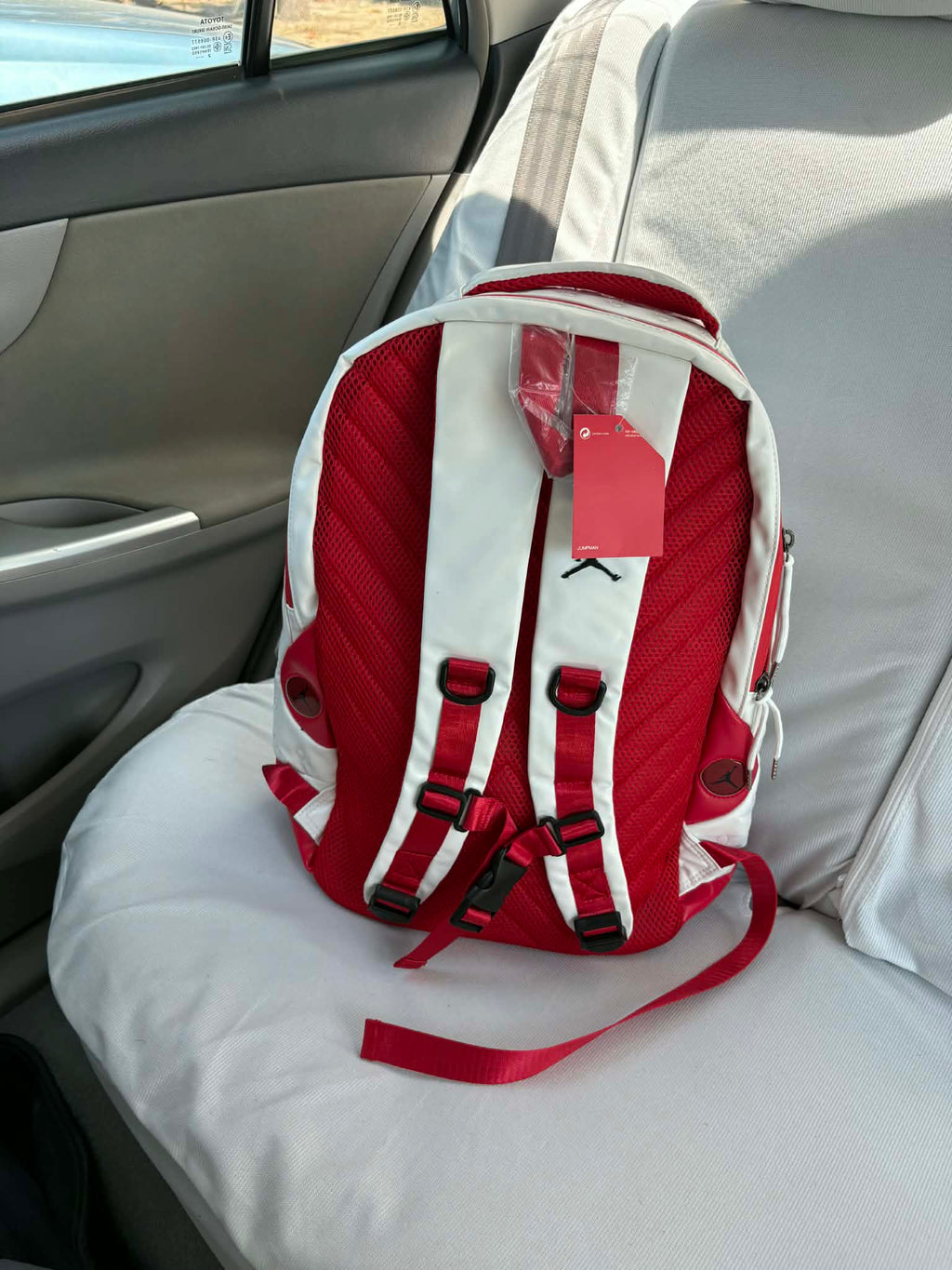 Air Jordan 13 'Cherry' Bag