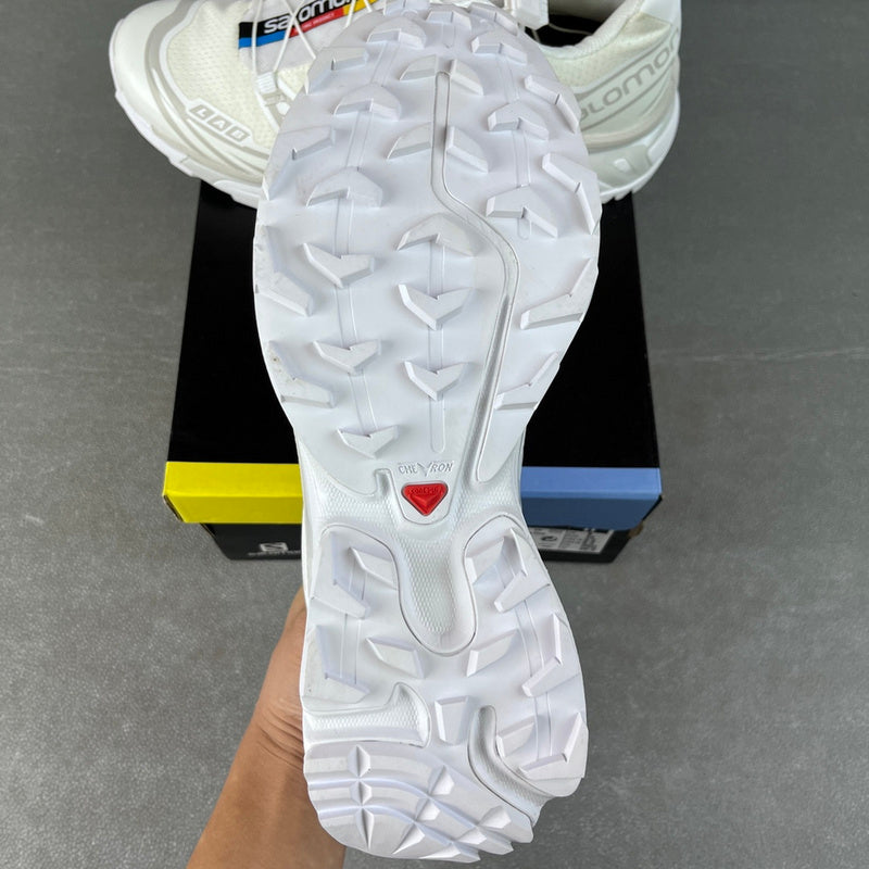 Salomon XT-6 White / Lunar Rock