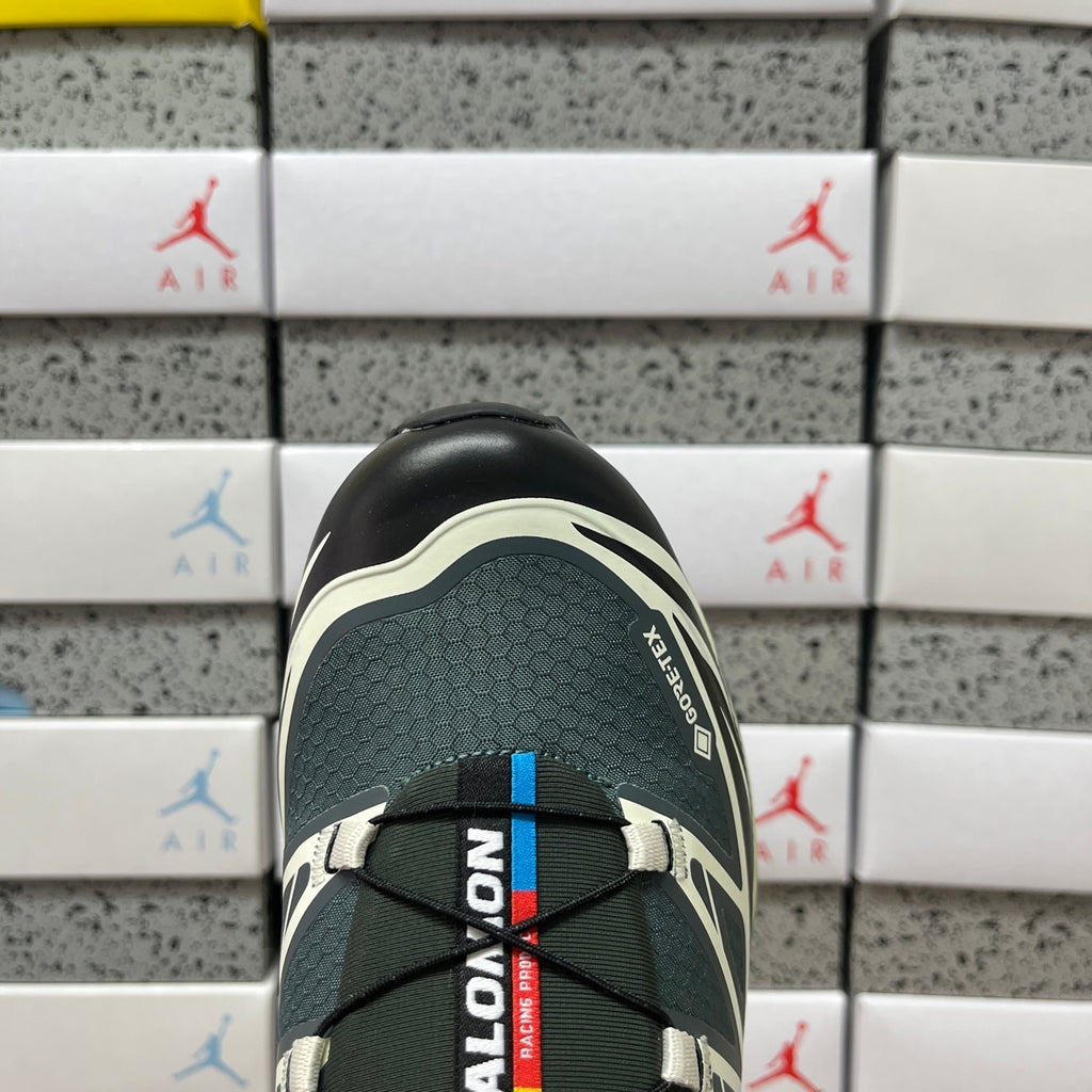 Salomon XT-6 GTX Urban Chic / Black / Lime Cream