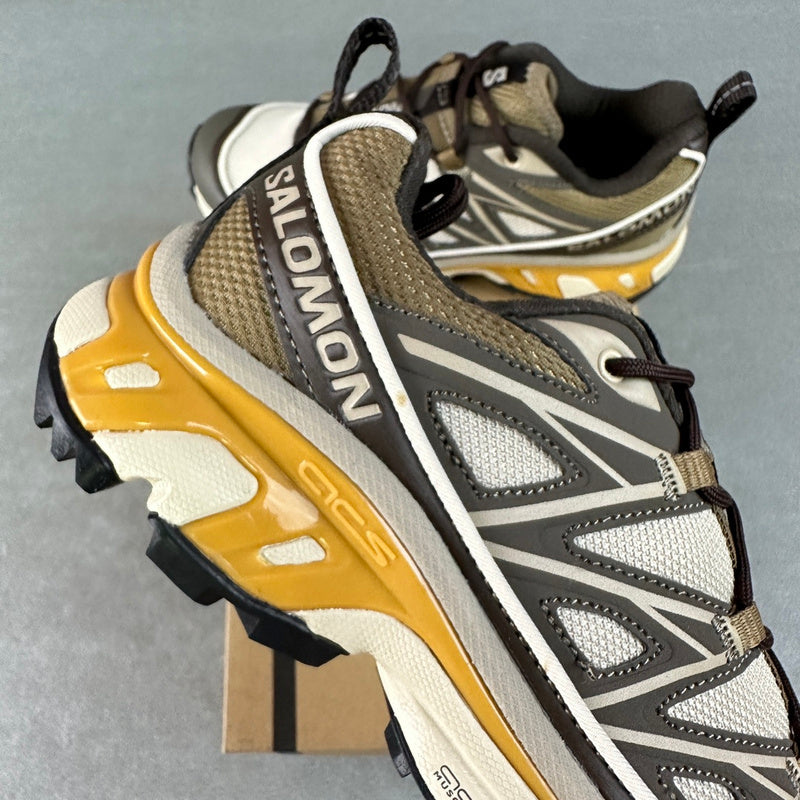 Salomon XT-6 Expanse Feather Gray / Delicioso / Golden Oak