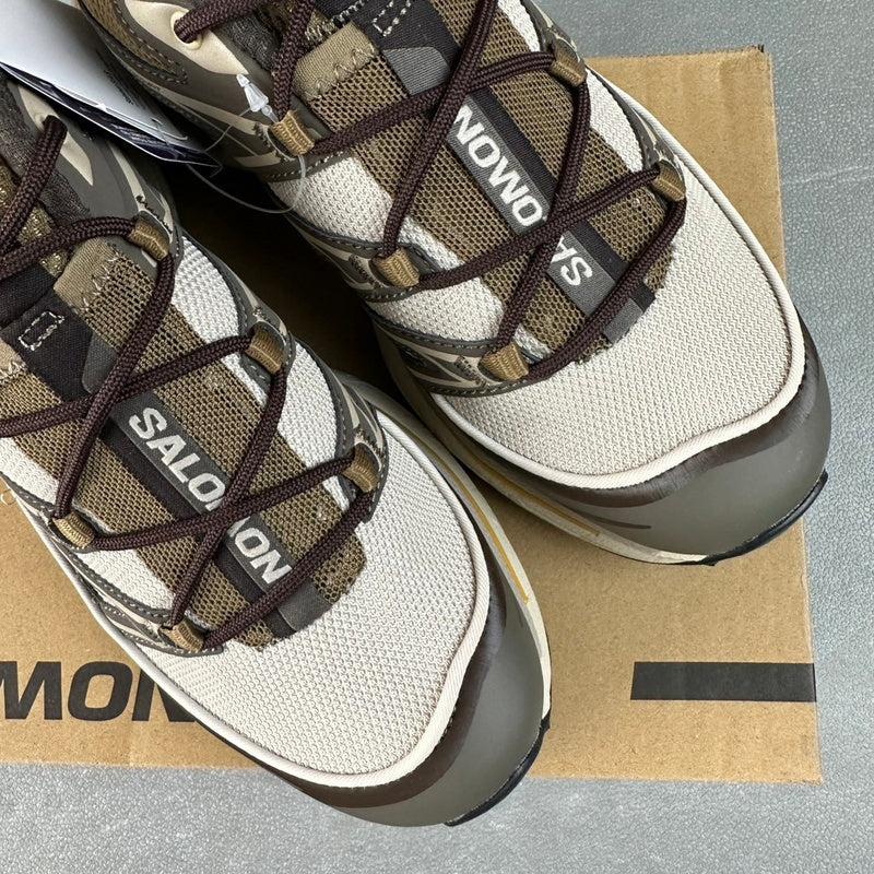Salomon XT-6 Expanse Feather Gray / Delicioso / Golden Oak