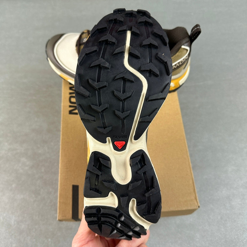 Salomon XT-6 Expanse Feather Gray / Delicioso / Golden Oak