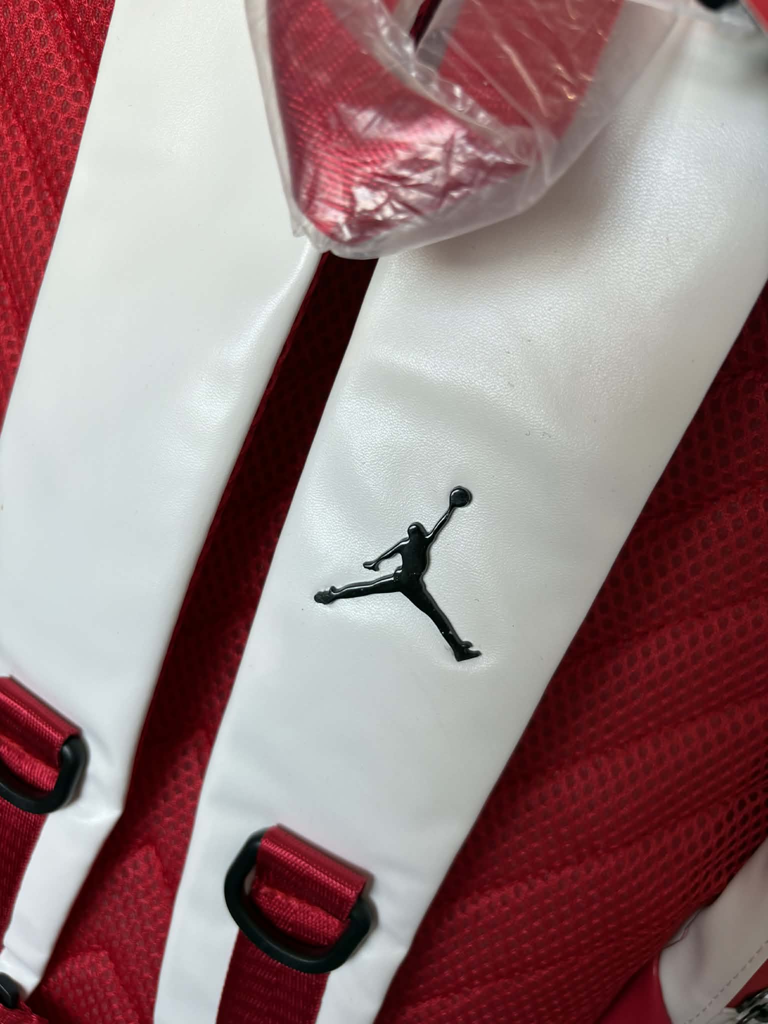 Air Jordan 13 'Cherry' Bag