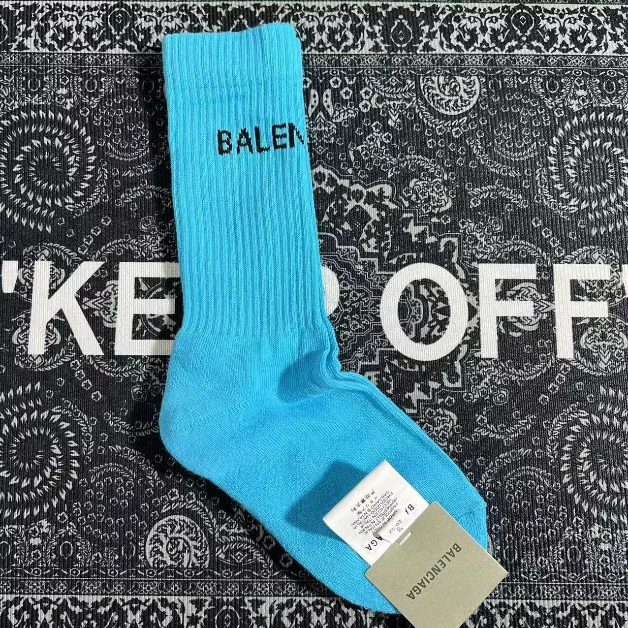 Balenciaga Socks